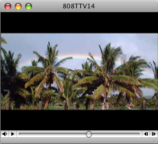 808TTV E.14 - Aloha To You