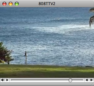 Watch: A Kaka'ako Afternoon