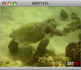 Watch: An Electric Dive Watch: An Electric Dive