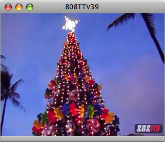 Watch: Honolulu Christmas Lights Watch: Honolulu Christmas Lights