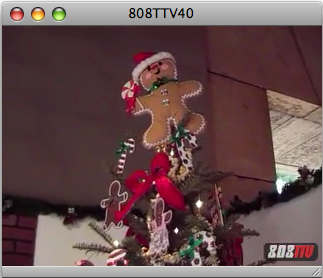 808TTV E.40 - Christmas Trees