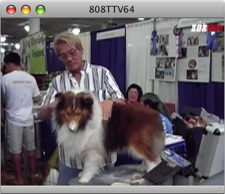 Watch: Hawaii Pet Expo 2007