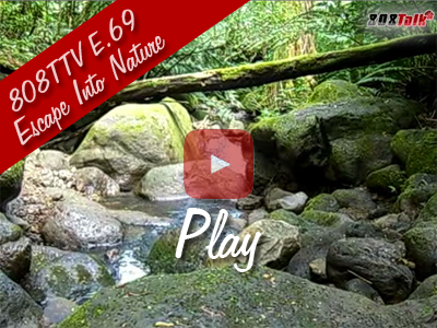 Watch: Escape Into Nature