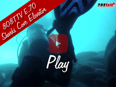 by Scuba Diving Magazine, scuba diving wallpaper. by Scuba Diving Magazine,
