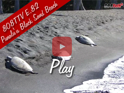 808TTV E.82 - Punalu'u Black Sand Beach