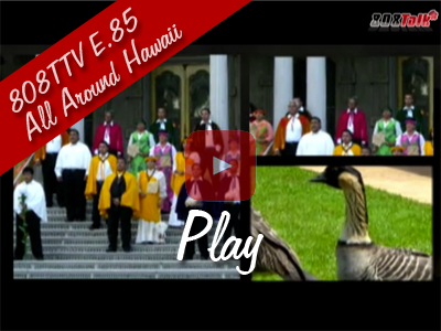 808TTV E.85 - All Around Hawaii