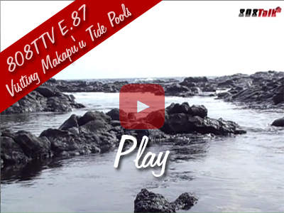 808TTV E.87 - Visiting Makapu'u Tide Pools