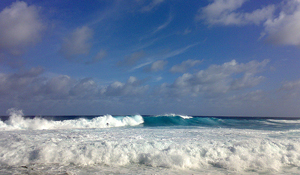 Hidden Surf Oasis On The Big Island