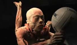 Bodies The Exhibition In Honolulu