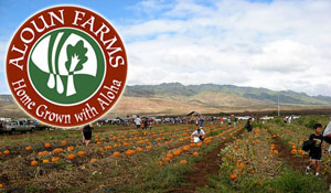 Aloun Farms Pumpkin Patch (Flickr Â©ghir)