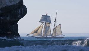 The Privateer Lynx (Flickr Â©mikebaird)