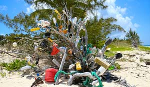 Beach Trash