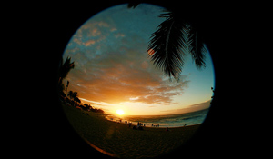 808T E.139 - Looking Back On Hawaii 2009