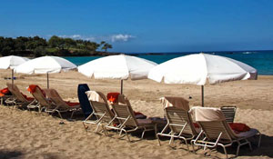808T E.142 - Hawaii Pic Of The Day