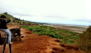 Lana'i Horseback