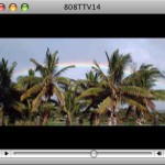 808TTV E.14 – Aloha To You