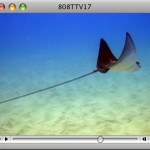 808TTV E.17 – Under The Sea