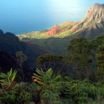 Modern Life In Kalalau Valley